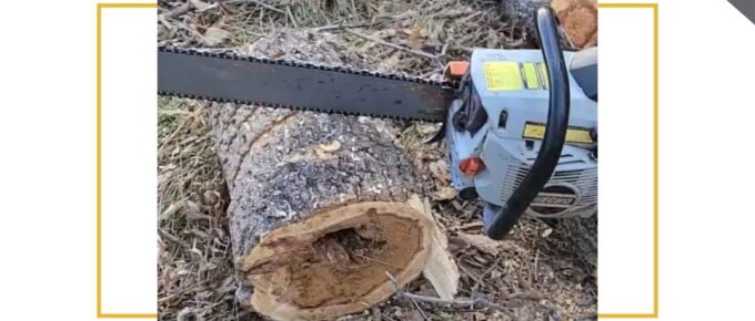 How-To-Port-Chainsaw