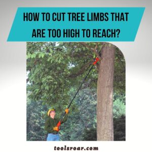 How To Cut Tree Limbs That Are Too High To Reach - 6 Ways